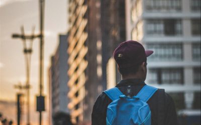 Pacsafe Metrosafe, Citysafe & Venturesafe (2026 Comparison)