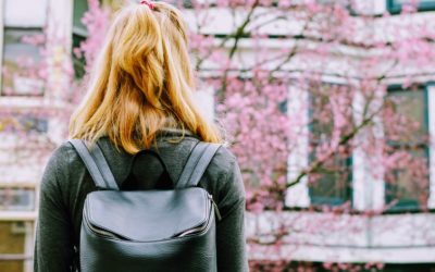 Top 8 Budget Anti-Theft Backpacks – (2026 Guide)