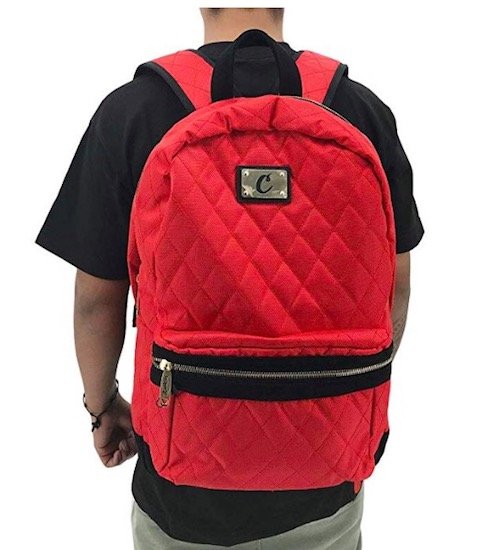 The 14 Best Smell Proof Backpacks • (2021 Reviews & Guide)