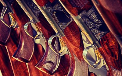 Top 5 Best Fireproof Gun Safes • (2025 Reviews & Pro Guide)